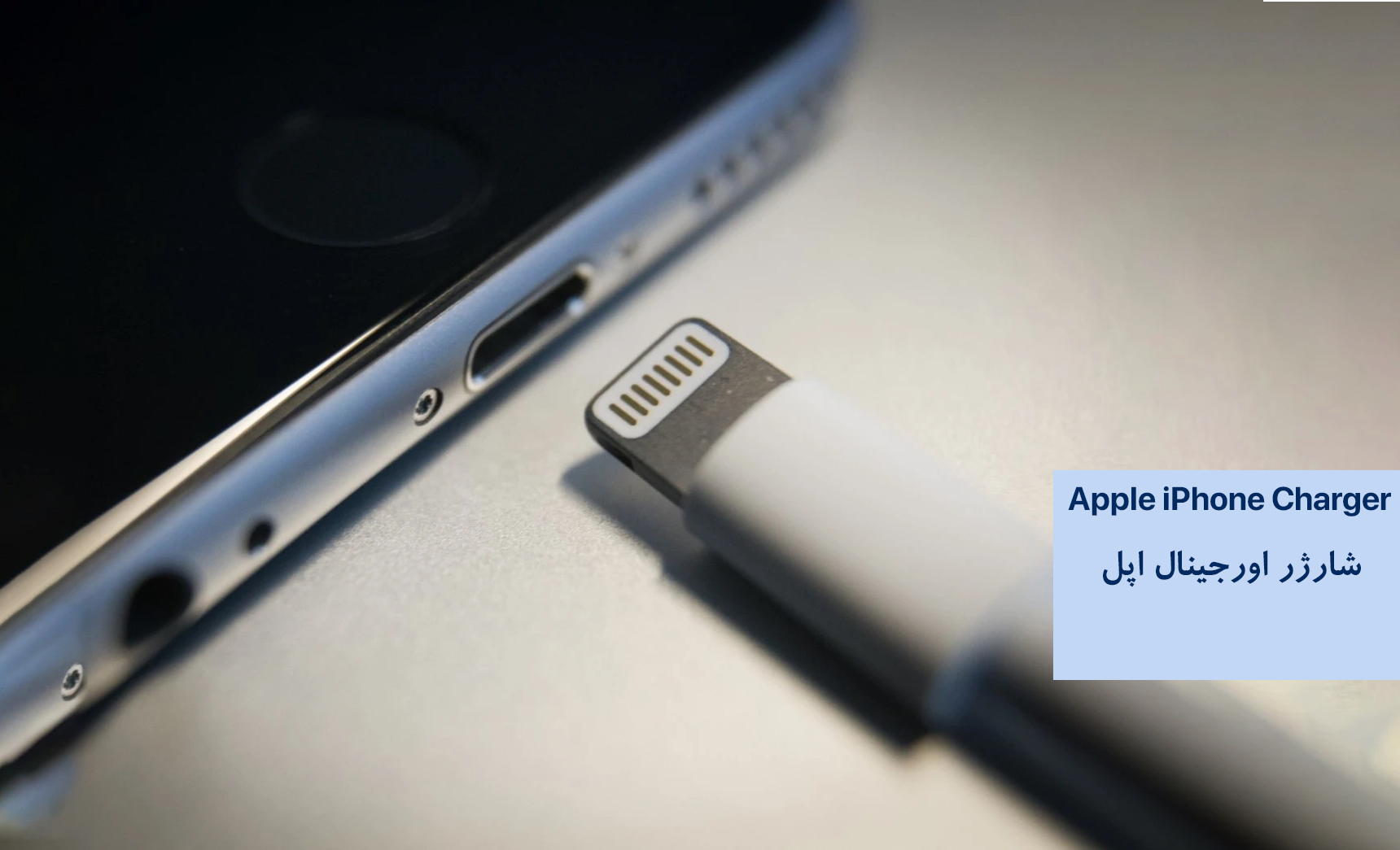 on-september-7th-applenews-photo-1636572937-Recovered